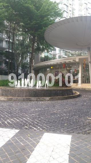 Park Green (D19), Condominium #164127012
